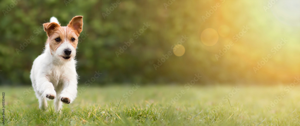 AdobeStock_315334622_Preview