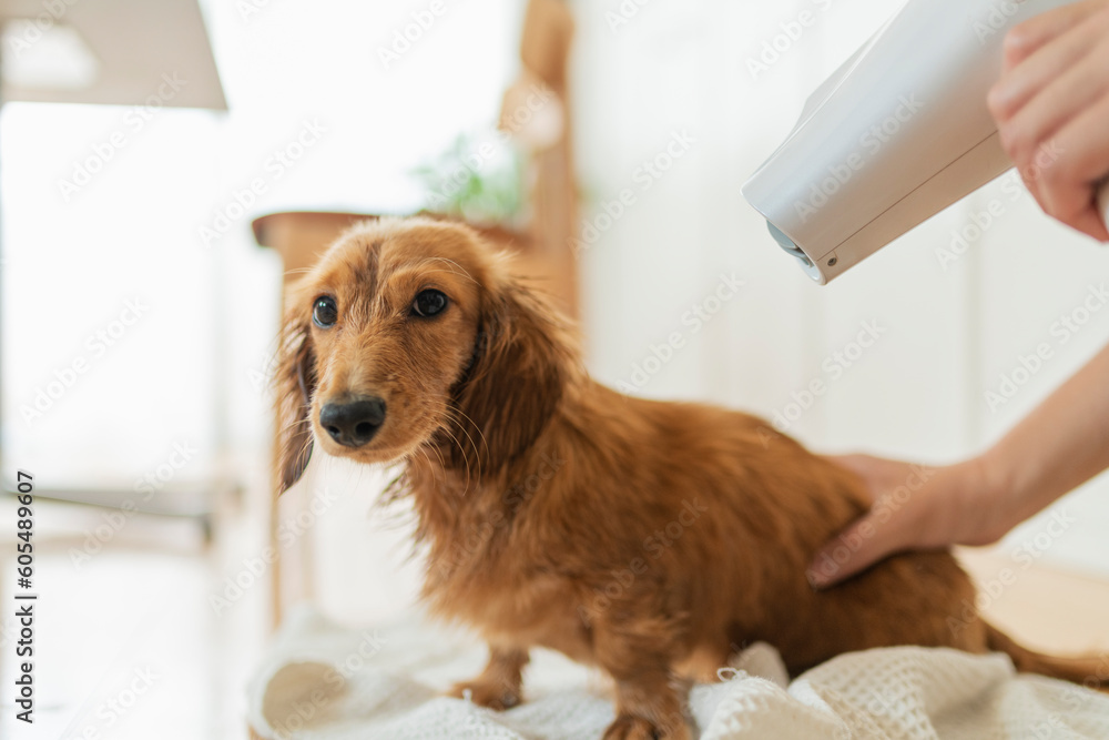 AdobeStock_605489607_Preview