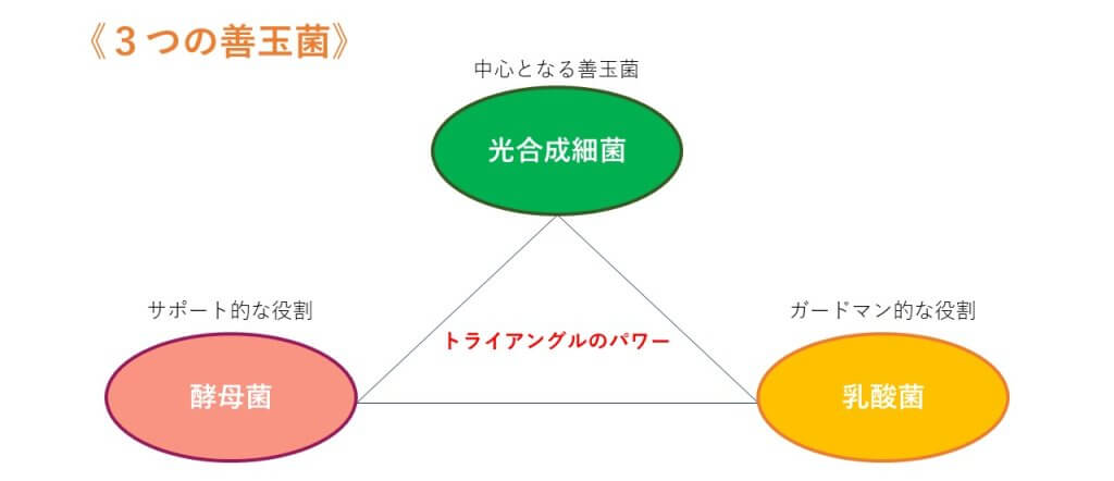 3つの善玉菌