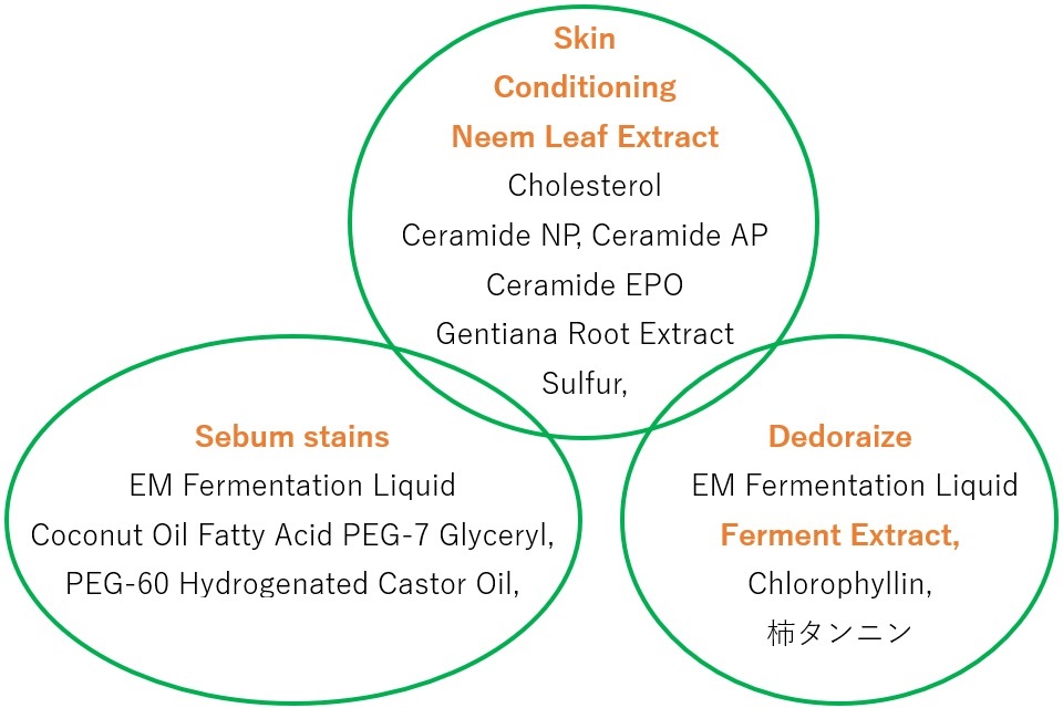 皮膚コンディショニング、皮脂汚れ、消臭