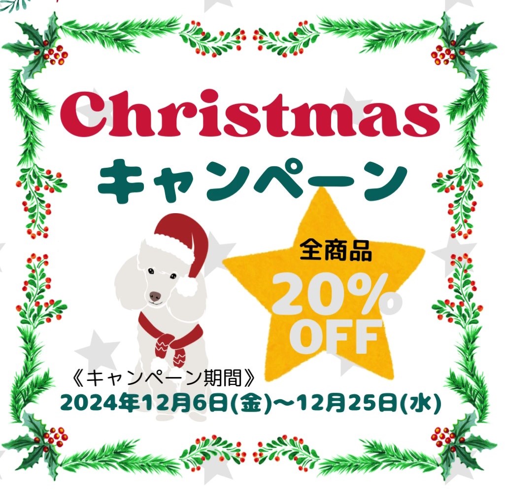 ①Xmasキャンペーンのコピー – frame at 0m3s-2